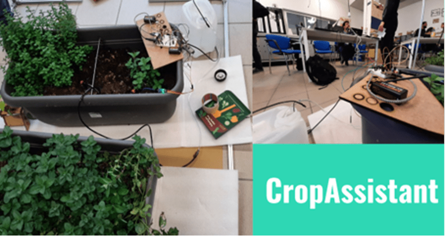 Italian winner of the iPRODUCE Hackathon – “CropCoders”